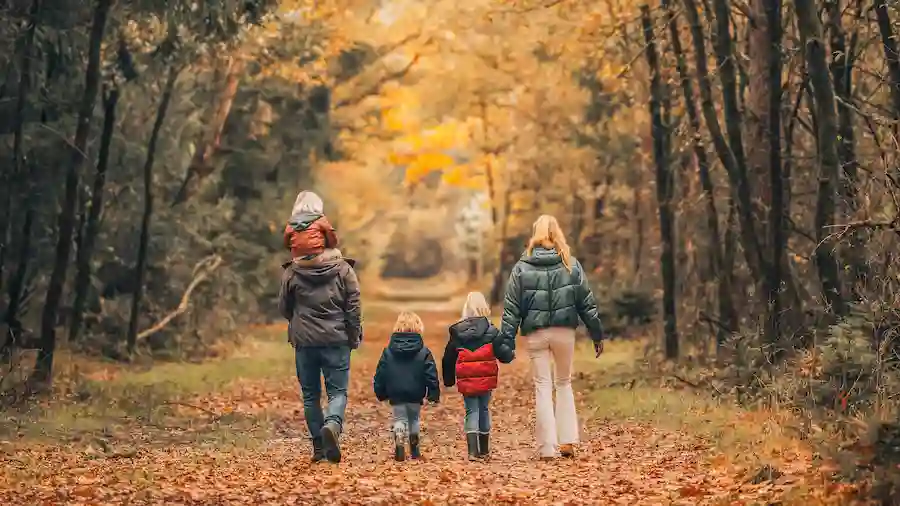 Een wandeling met kinderen door het bos