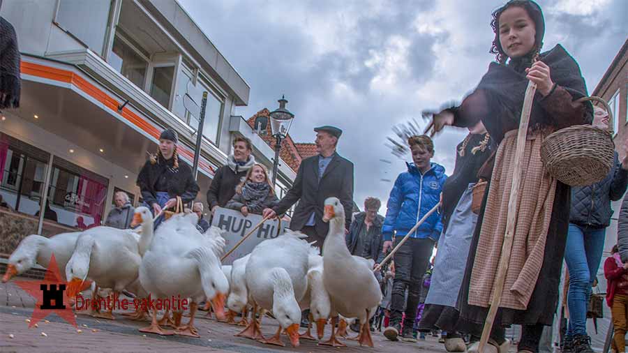 De ganzenhoedsters lopen door het centrum van Coevorden naar de markt